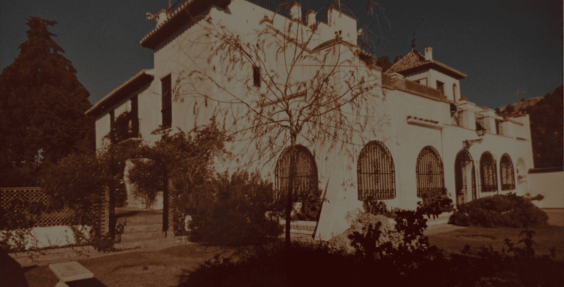 imagen (1)